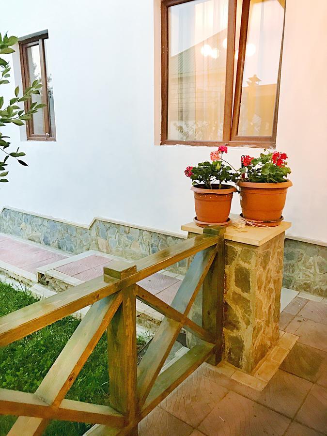 Gabala Sweet Lounge Villa Exteriör bild